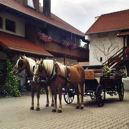 Appartementhaus "Haflinger Hof" Bad Füssing Kültér fotó