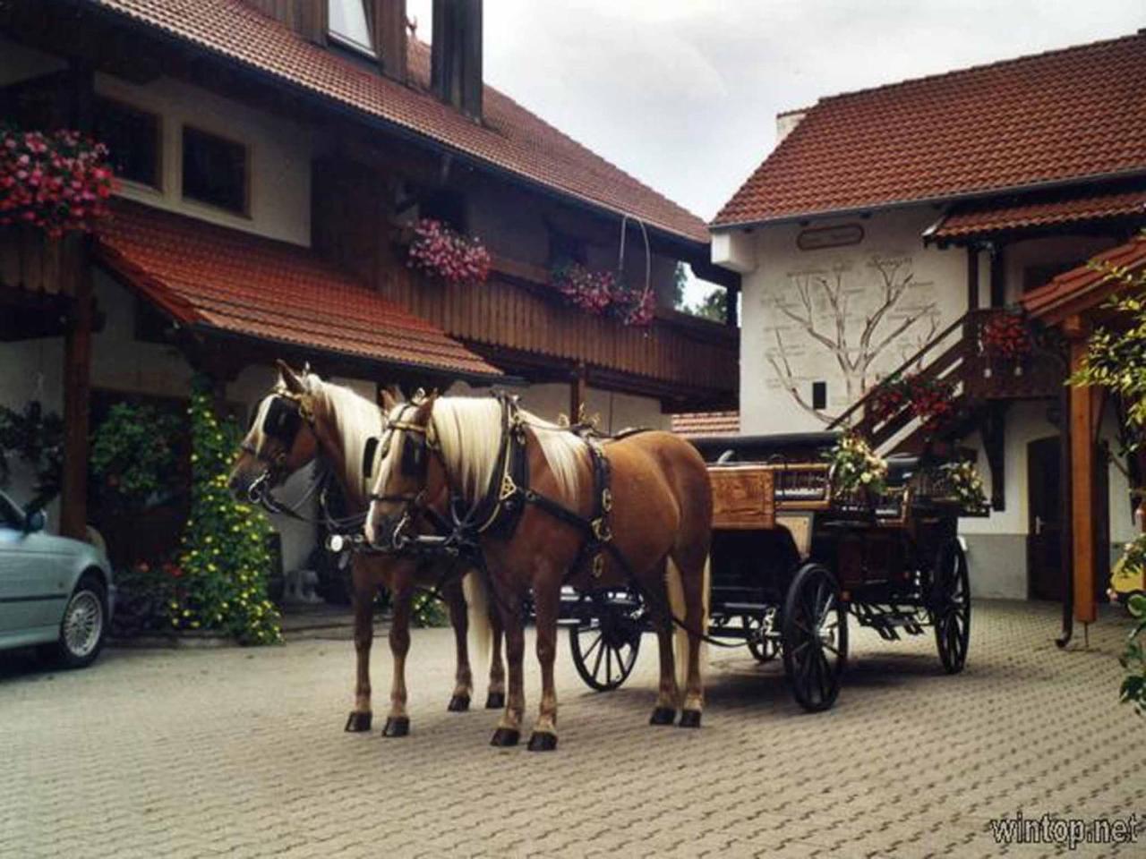 Appartementhaus "Haflinger Hof" Bad Füssing Kültér fotó